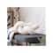 Hello Honey® Cream Woven Cotton Bouclé Knot Design Pillow